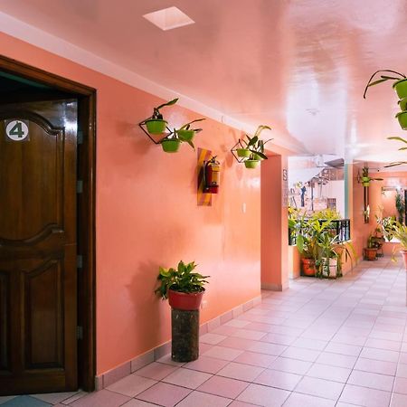 Alpa Kasa Chachapoyas Hotel ภายนอก รูปภาพ